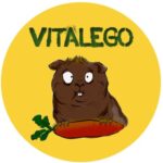 Аватар (vitalego)